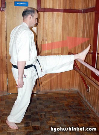 Развитие подвижности суставов в карате