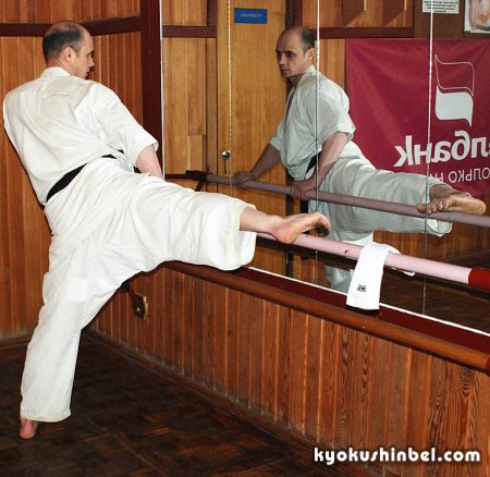 Развитие подвижности суставов в карате