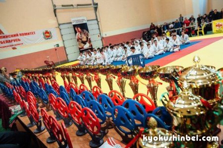 Результаты, 10-ого официального Открытого Чемпионата Гродненской области по кёкусин-кан.