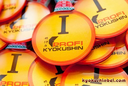 О проведении  международного турнира по киокушинкай каратэ-до «ProfiKyokushinBelarusOpen» в городе Могилеве