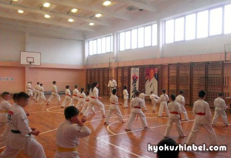 Столинская федерация киокусин-кай карате провела учебно-квалификационный сбор