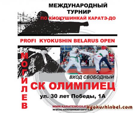 Международный турнир по киокушин-кай каратэ-до «ProfiKyokushinBelarusOpen 2019» состоится в Могилеве