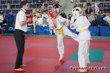 Прошел международный турнир по киокушин-кай каратэ-до «ProfiKyokushinBelarusOpen 2019» в Могилеве