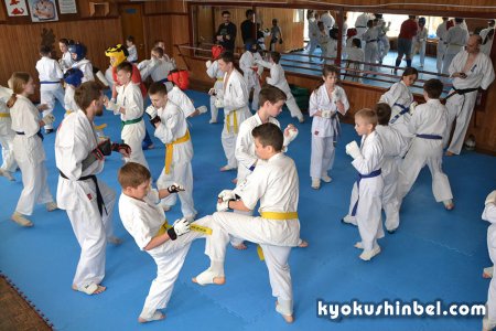 Тренировка "кумите 50 боев карате Киокушин" прошла в Гомельском Центре восточных единоборств