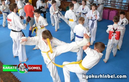 Видео с тренировки "кумите 50 боев карате Киокушин" в Гомеле
