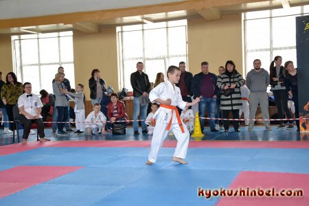 Фото-отчет № 1 про открытый международный турнир по карате «Киокушин - дружба без границ!» в Гомеле