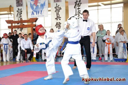 Фото-отчет № 1 про открытый международный турнир по карате «Киокушин - дружба без границ!» в Гомеле