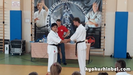 Прошел международный семинар по Киокушин кан карате в Польше