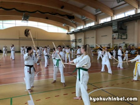Прошел международный семинар по Киокушин кан карате в Польше