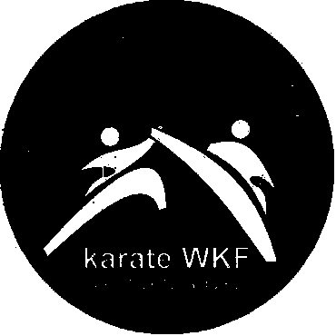 Соревнования по каратэ  «ПУТЬ К УСПЕХУ 2013» (WKF)