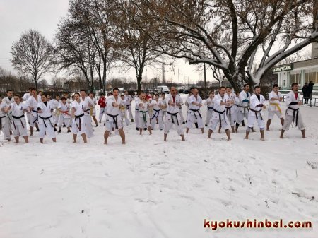 Учебно-тренировочные сборы по кёкусин-кан прошли в Гомеле 18-21 января 2018 года.