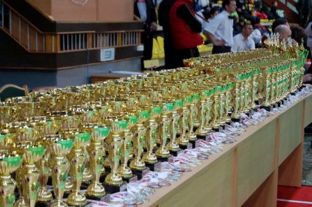 Традиционные турниры "Сакура над Сожем" и "Кубок Гомеля"состоялись в эти выходные