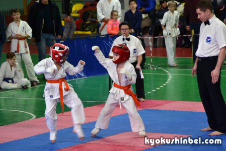Еще некоторые фото моменты турнира «Кубок Полесья» 2019 по киокушин-кан карате