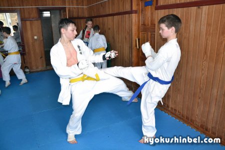 Тренировка "кумите 50 боев карате Киокушин" прошла в Гомельском Центре восточных единоборств