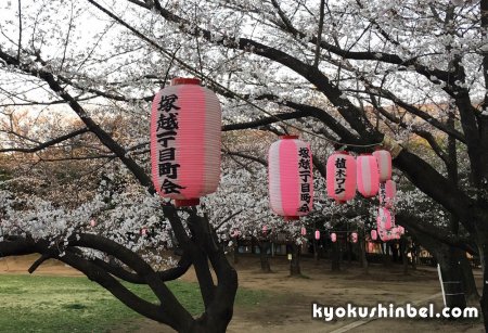 Ката под ветвями цветущей сакуры демонстрировали ученики Шихана Кондо