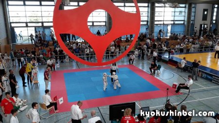 Спортсмены из Беларуси выступили во 2-м первенстве Европы по киокусинкай карате KWU