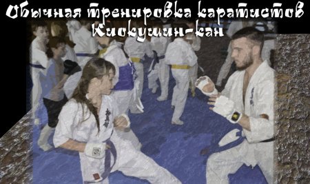 Тренировка каратистов Киокушин-кан от 5 ноября 2019 в ГЦВЕ
